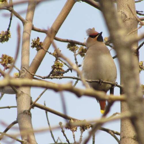 Photo #13730419
