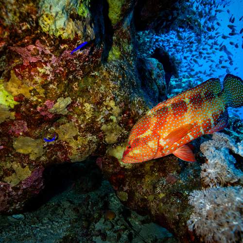 Photo #13730426