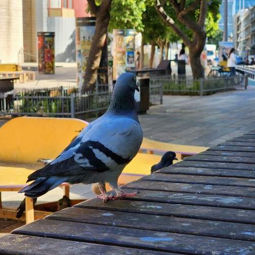 Photo #13730435