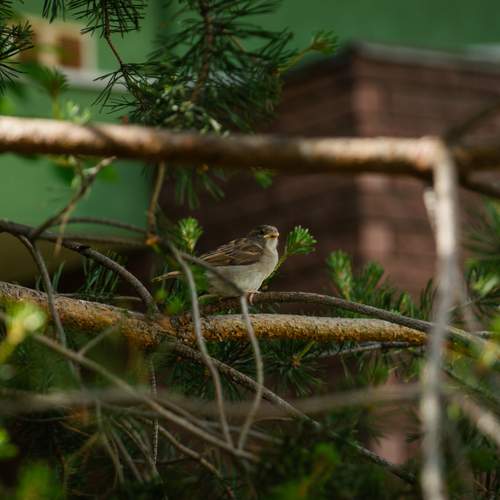 Photo #13730472