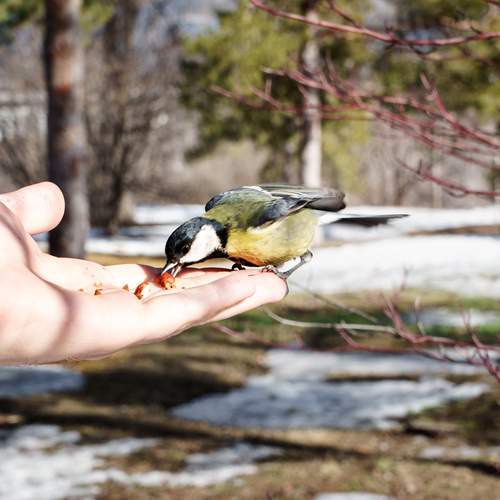 Photo #13730498