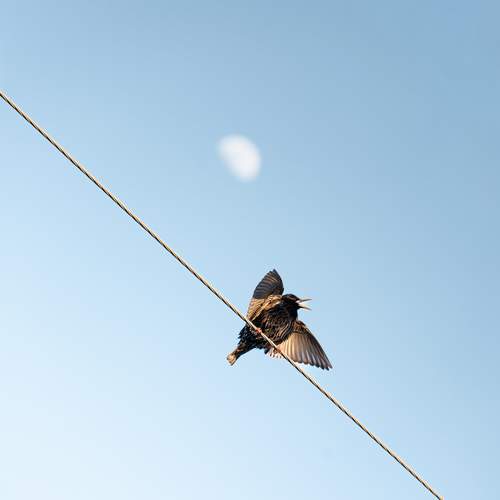 Photo #13730499
