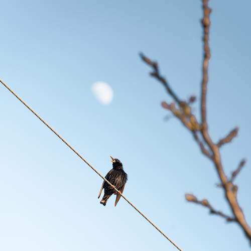Photo #13730500