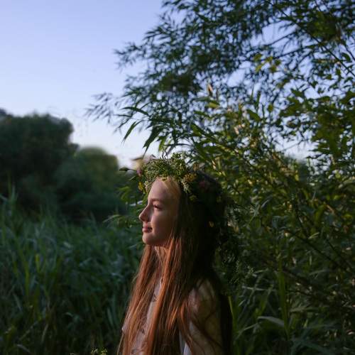 Photo #13730504
