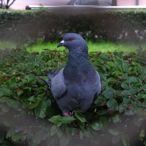 Photo #13730507