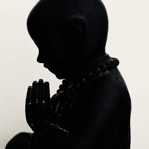 Photo #13730527