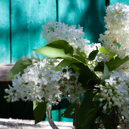 Photo #13730577