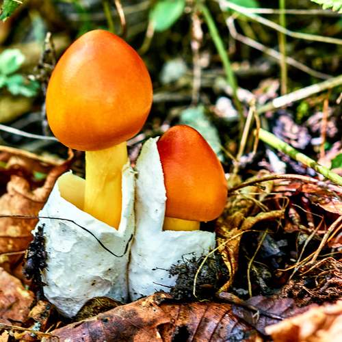 Photo #13730594