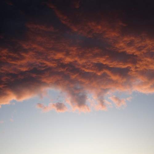 Photo #13730597