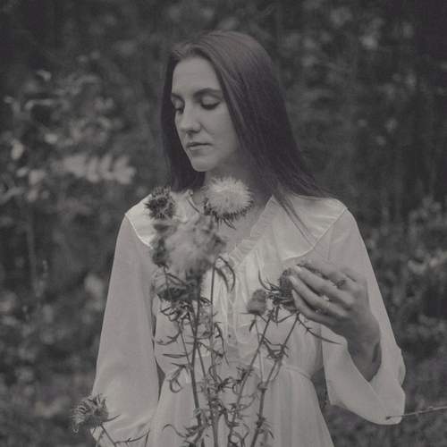 Photo #13730631