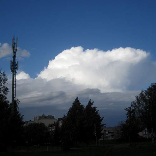 Photo #13730636