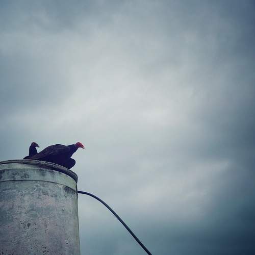 Photo #13730690