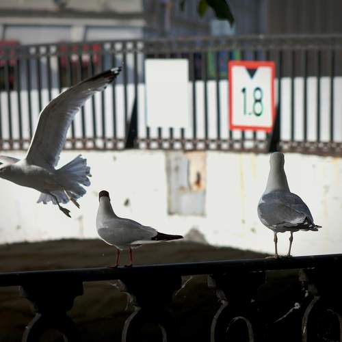 Photo #13730711