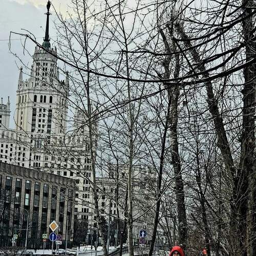 Photo #13730718