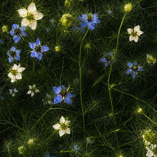 Photo #13730725