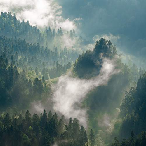 Photo #13730773