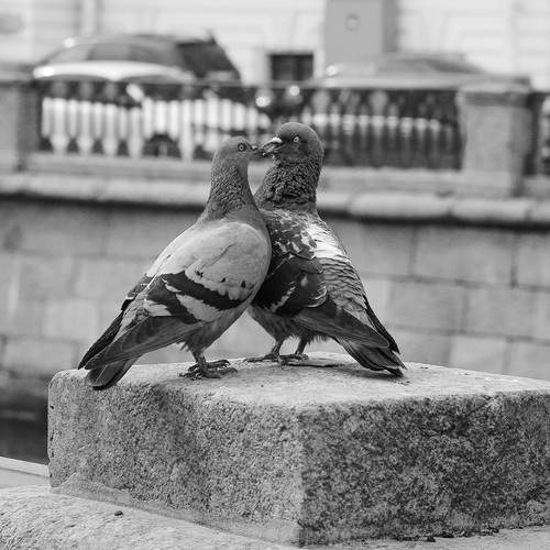 Photo #13730780