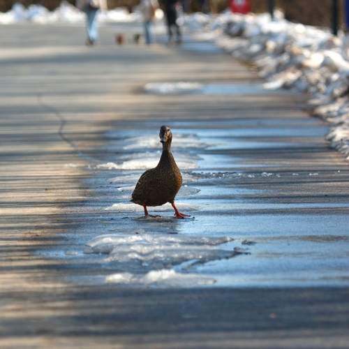 Photo #13730828