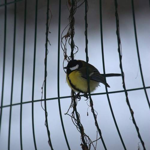 Photo #13730847