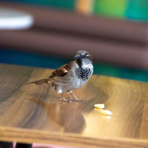Photo #13730923