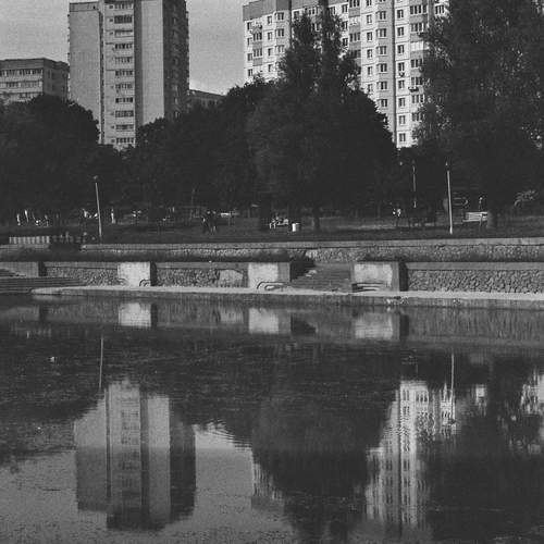 Photo #13730937