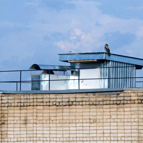 Photo #13730993