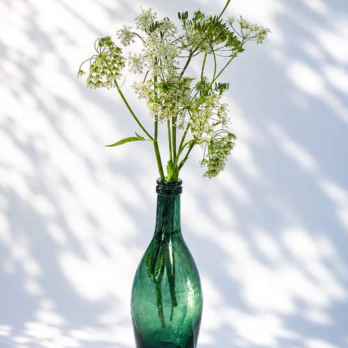 Photo #13731011