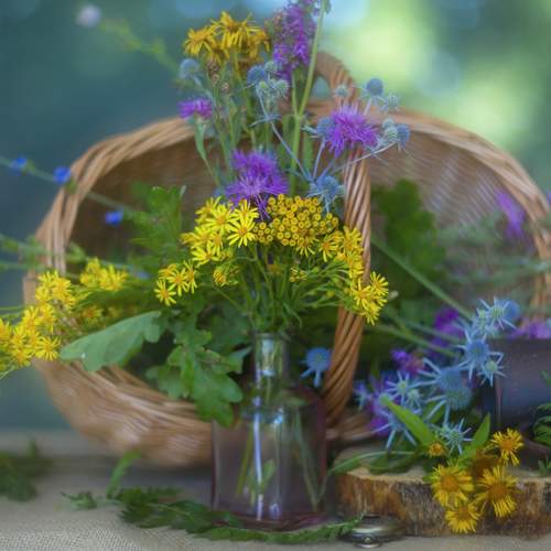 Photo #13731012