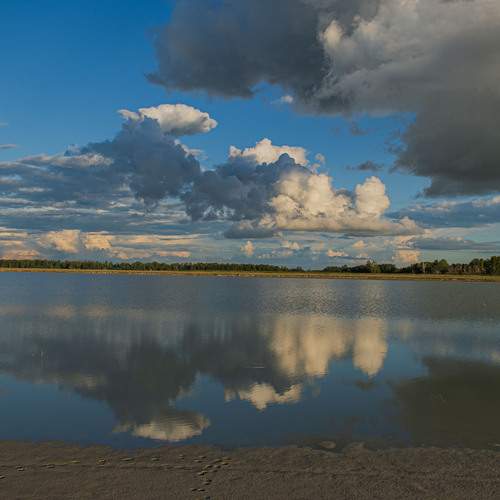Photo #13731021