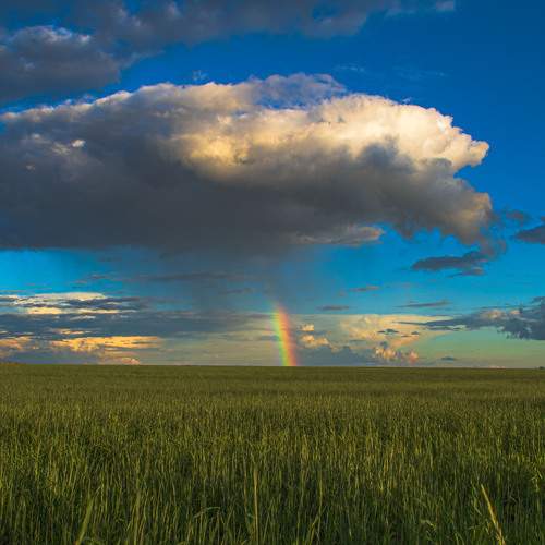 Photo #13731022