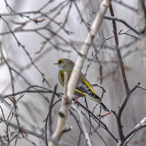 Photo #13731047
