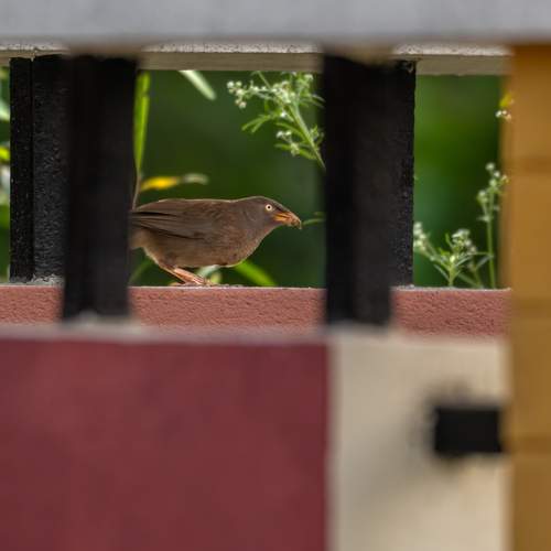 Photo #13731094