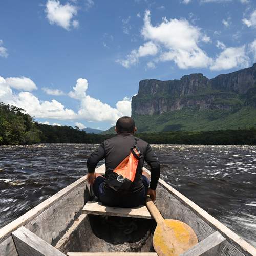 Photo #13731101
