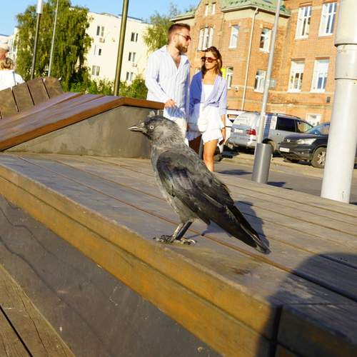 Photo #13731187