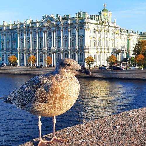 Photo #13731210