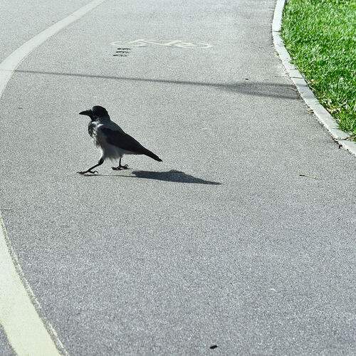 Photo #13731251