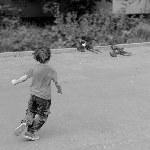 Photo #13731362