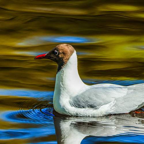 Photo #13731369