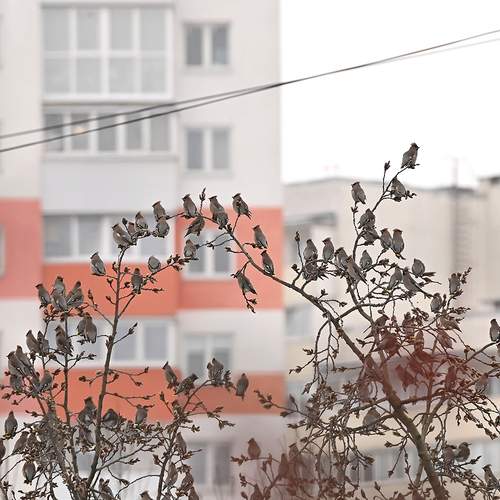 Photo #13731409