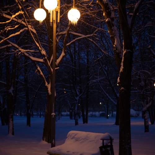 Photo #13731479