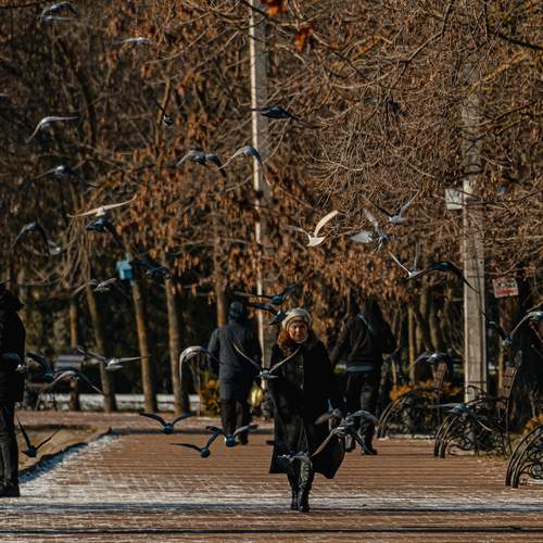 Photo #13731527