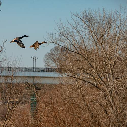 Photo #13731536