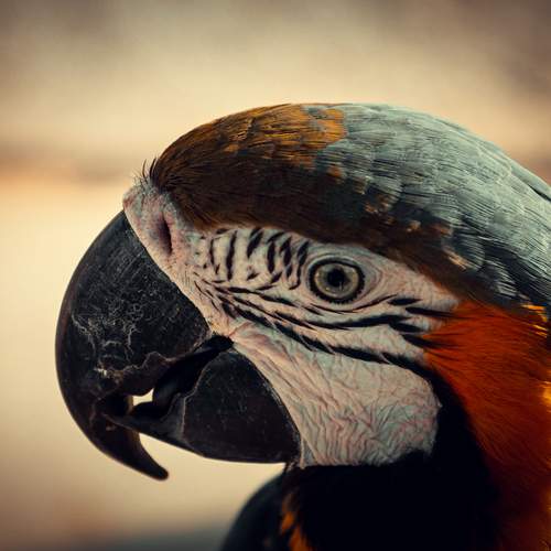Photo #13731572