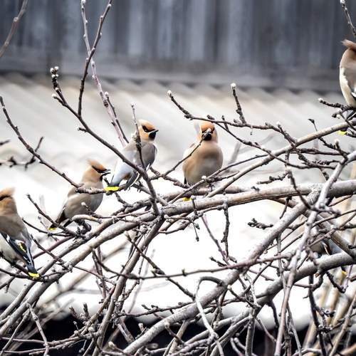 Photo #13731590