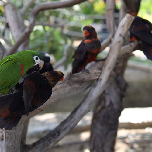Photo #13731655