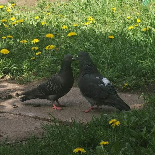 Photo #13731711