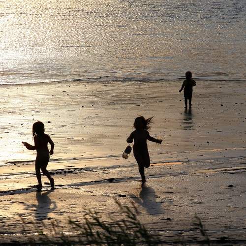 Photo #13731716