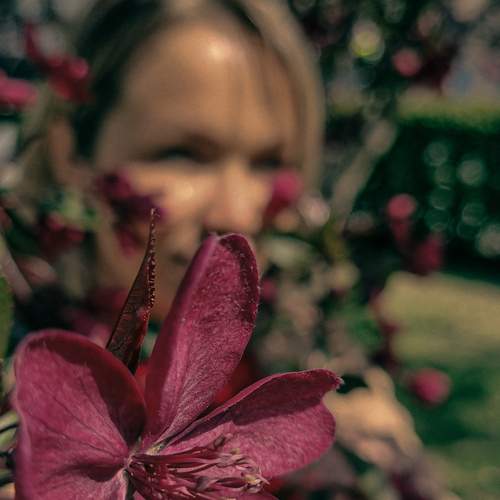 Photo #13731749
