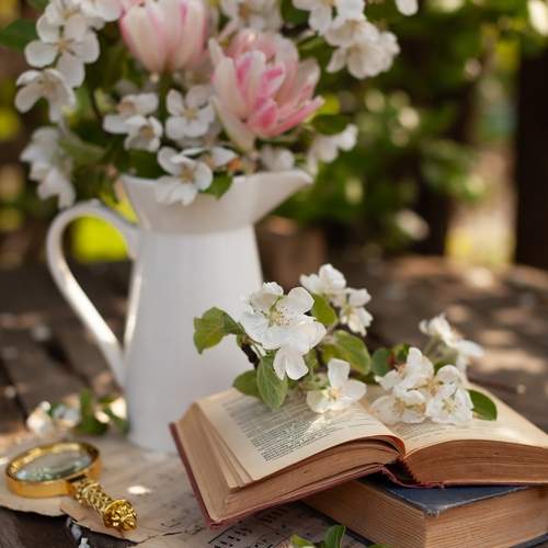 Photo #13731753