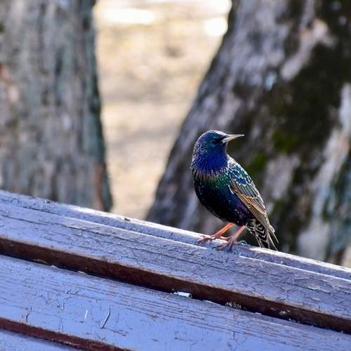 Photo #13731757